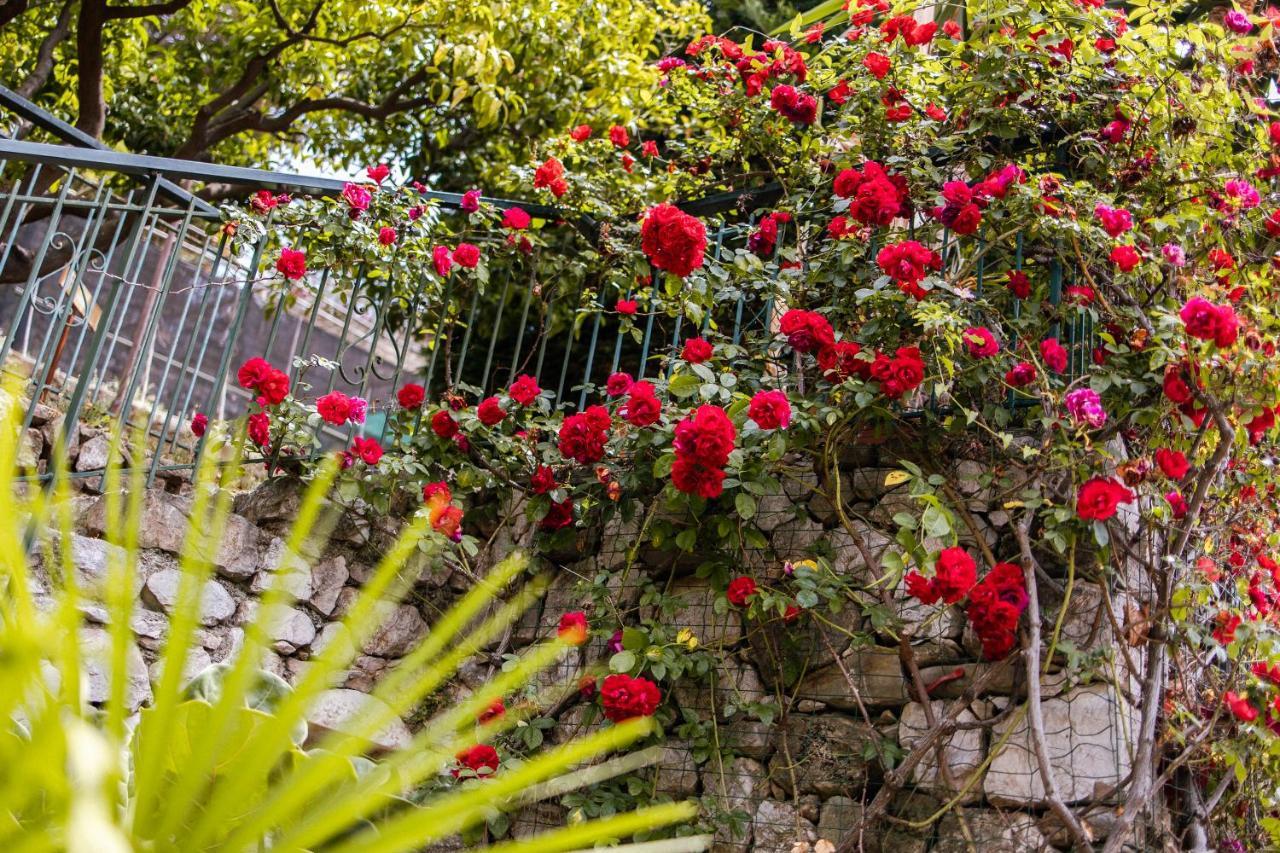 Ascheri Country House - Grimaldi, Ventimiglia Exterior foto